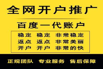 某电商平台的SEM运营实战与效果分析